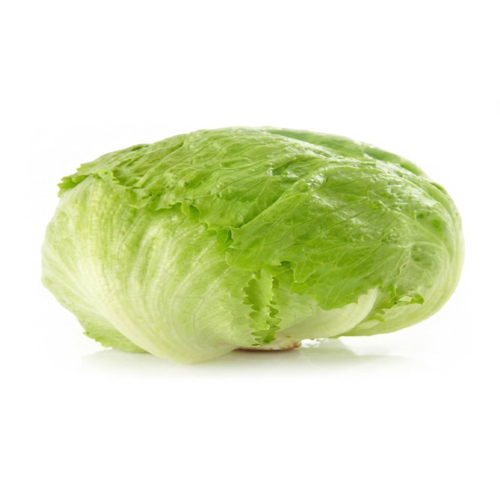 Salade Iceberg Fraîche – Légumes Réfrigérés