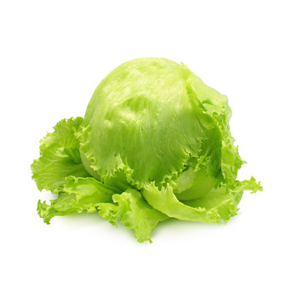 Salade Iceberg Fraîche – Légumes Réfrigérés